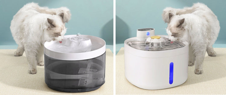 Pet Feeder & Water Fountains