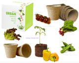 Grow Kit - Summer Salad Urban Greens - Seeds Plants Healthy On Trend - Grow Your Own