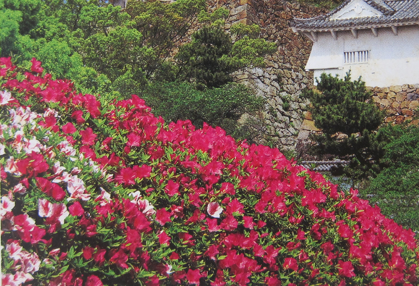 NEW Jigsaw Puzzle from Japan Famous Castle Himeji-jo