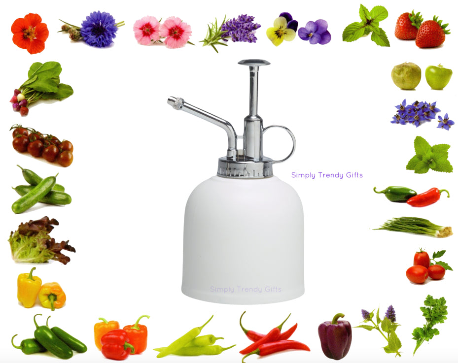 Plant Mister for Grow Kits - Urban Greens - Porcelain Sprayer for Grow Your Own Seeds