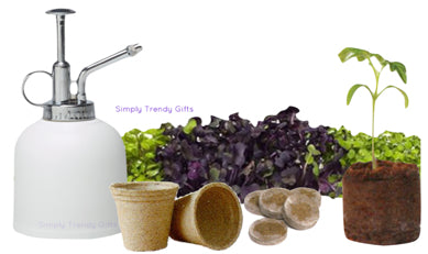 Plant Mister for Grow Kits - Urban Greens - Porcelain Sprayer for Grow Your Own Seeds