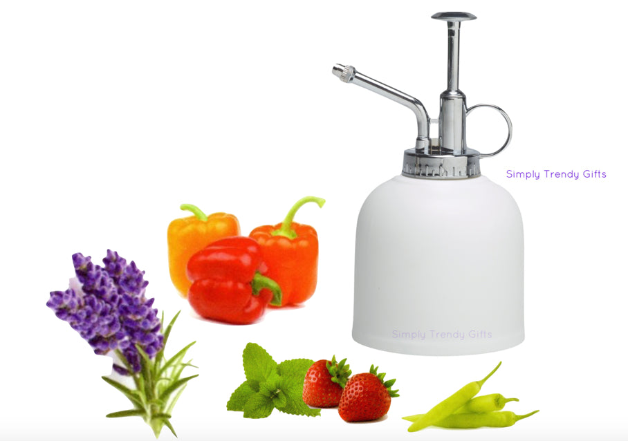 Plant Mister for Grow Kits - Urban Greens - Porcelain Sprayer for Grow Your Own Seeds