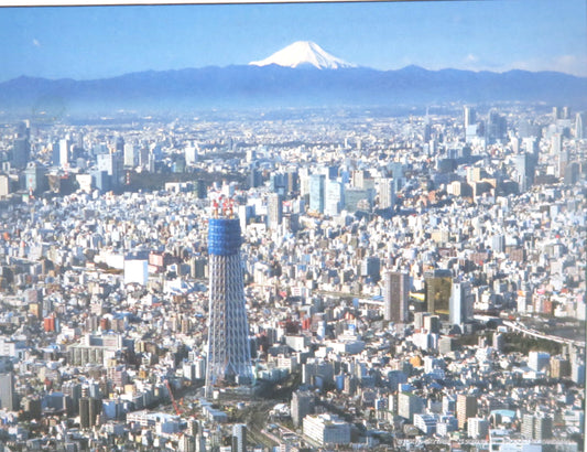 NEW Jigsaw Puzzles from Japan Tokyo Sky Tree