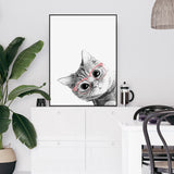 Wall Art 50cmx70cm Cat With Glasses Black Frame Canvas