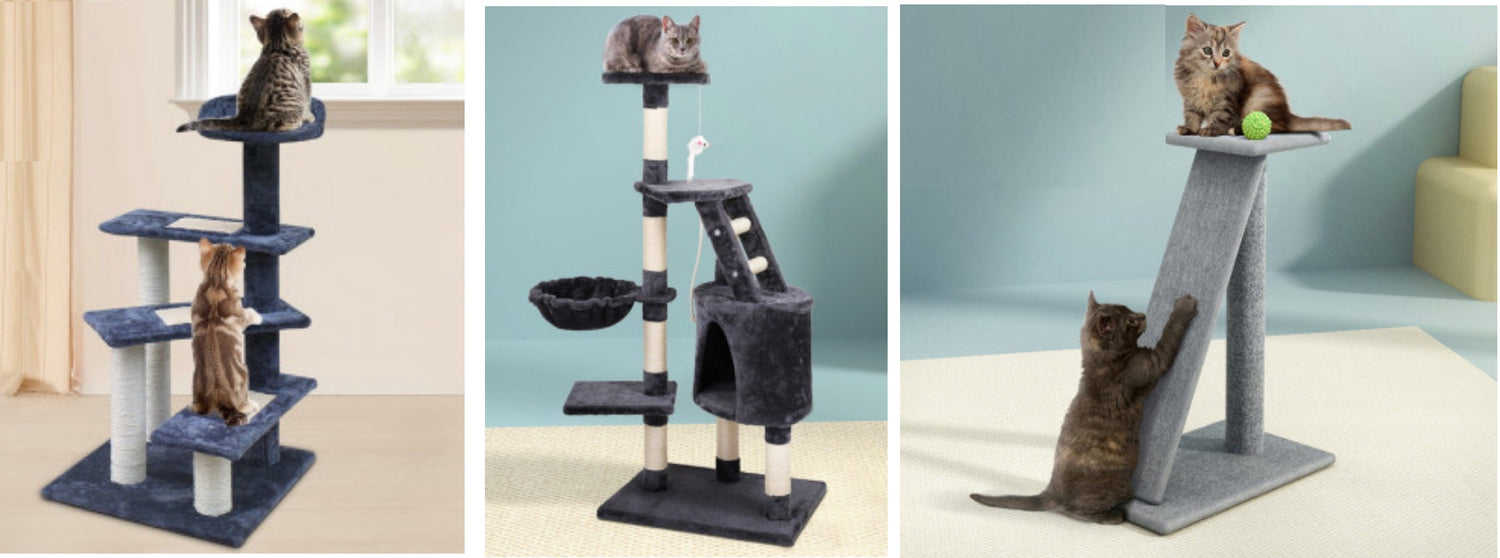 Cat Scratching Posts