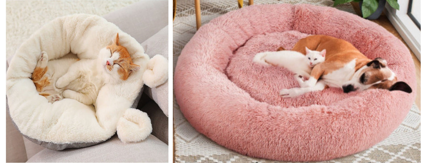 Pet Beds for Dogs & Cats