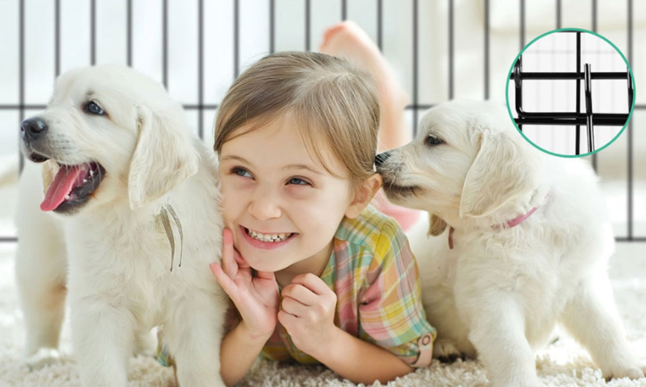 Pet Crates & Playpen