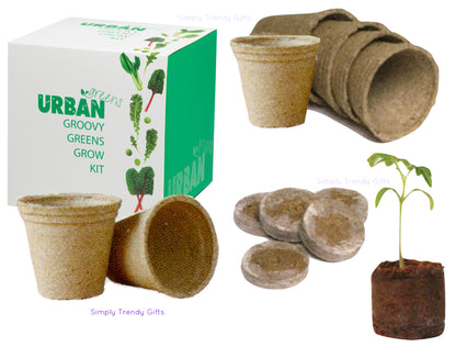 Grow Kit - Groovy Greens Urban Greens - Seeds Plants Healthy On Trend - Grow Your Own