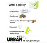 Grow Kit - Summer Salad Urban Greens - Seeds Plants Healthy On Trend - Grow Your Own