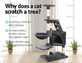 Scratching post cat furniture wood tree