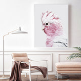 Wall Art 60cmx90cm Pink Galah White Frame Canvas