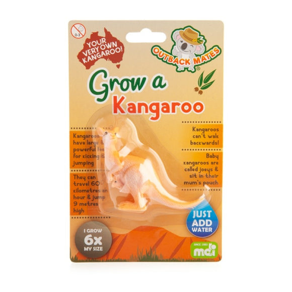 Grow a Kangaroo - Just soak and I'll grow to 6 x my size